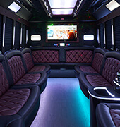 30 passenger party bus